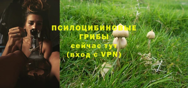 дмт Зеленодольск